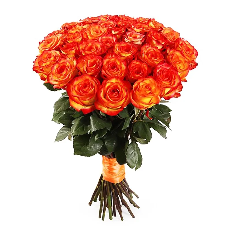 Букет из 35 роз оранжевого цвета