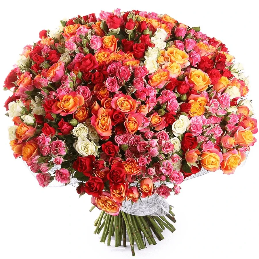 Розы кустовые микс №5